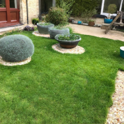 Techniques de taille pour maintenir un jardin esthétique et en bonne santé Mont-de-Marsan